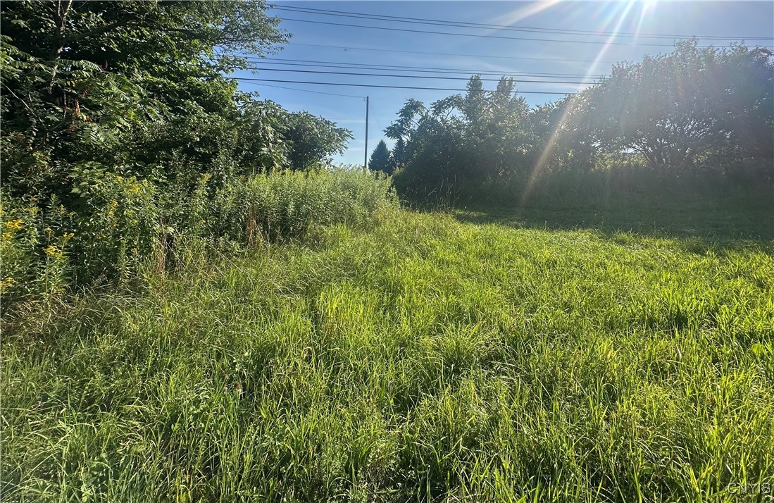 Putman Hill Road Carthage, NY 13619 - Photo 9 of 12