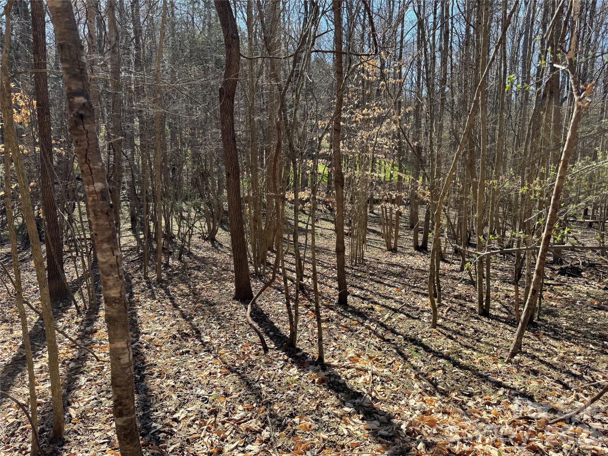 5700 Bentley Ridge Drive, Unit 12 Davidson, NC 28036 - Photo 11 of 25 a view of a yard