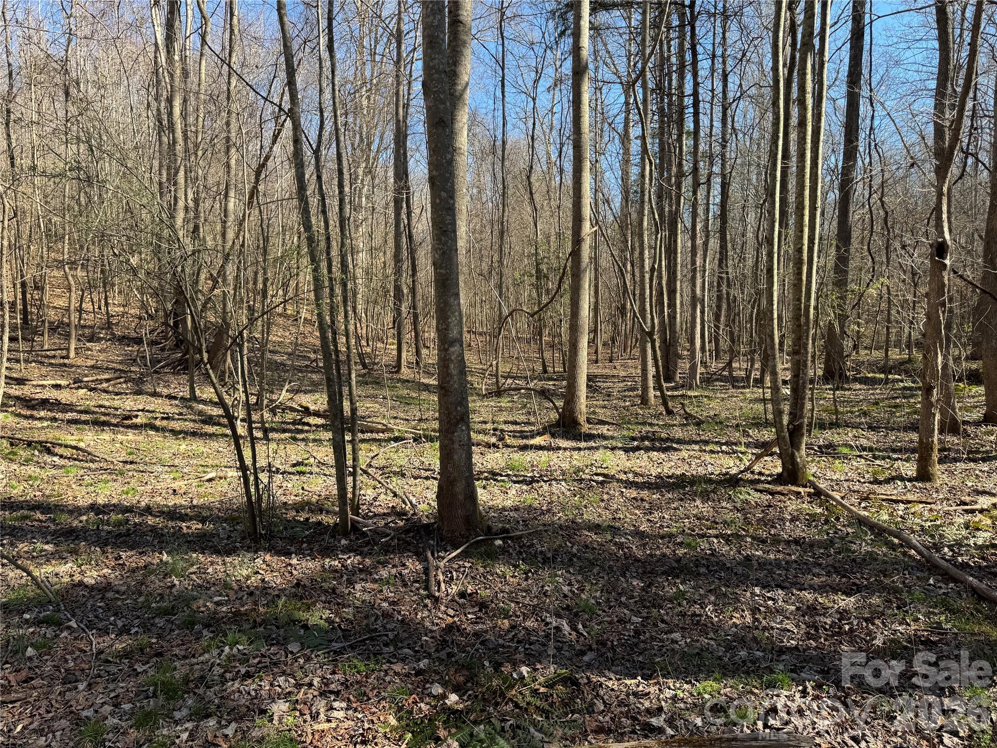5700 Bentley Ridge Drive, Unit 12 Davidson, NC 28036 - Photo 12 of 25 a view of a backyard with fountain