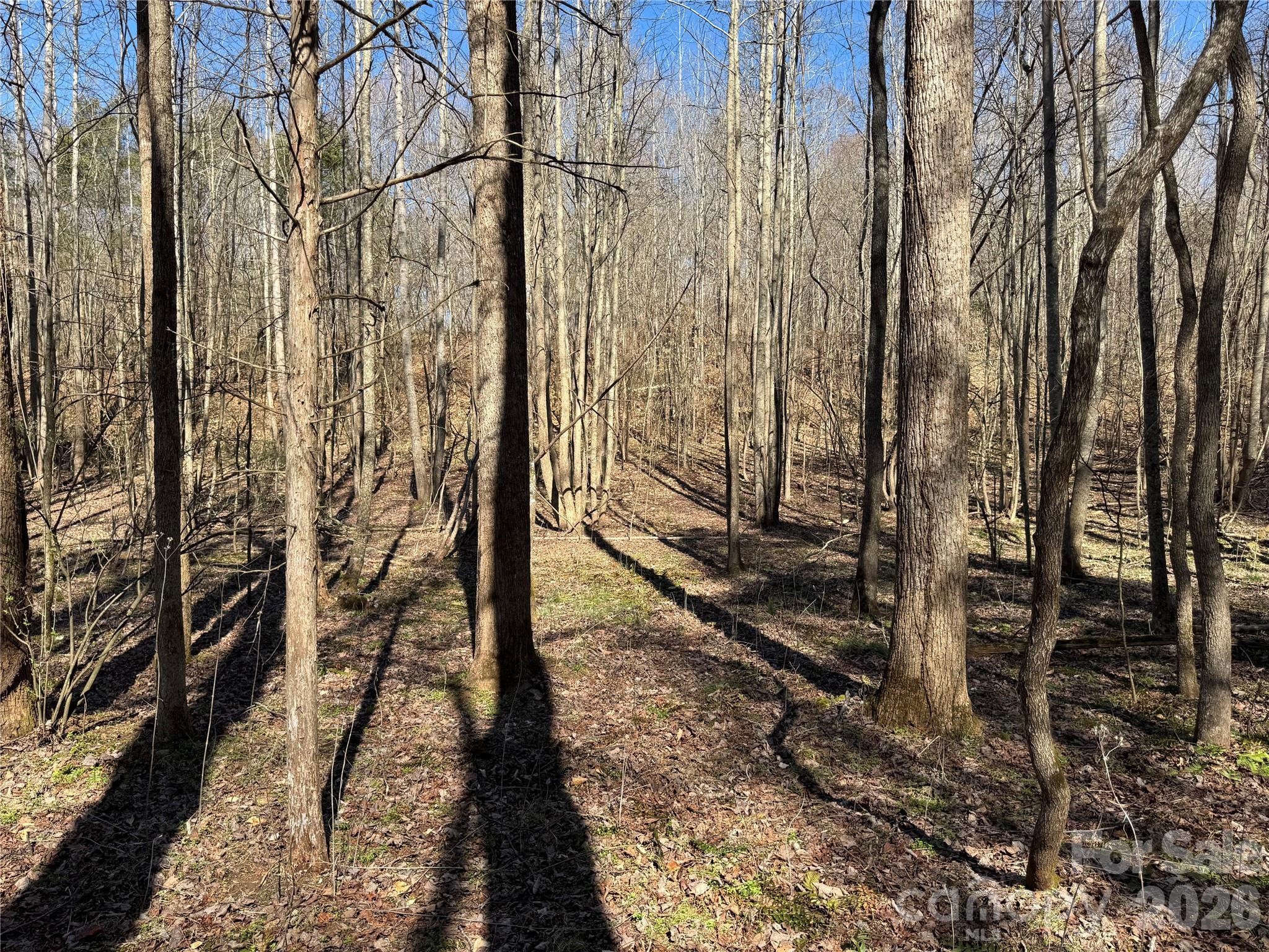 5700 Bentley Ridge Drive, Unit 12 Davidson, NC 28036 - Photo 13 of 25 a view of a yard