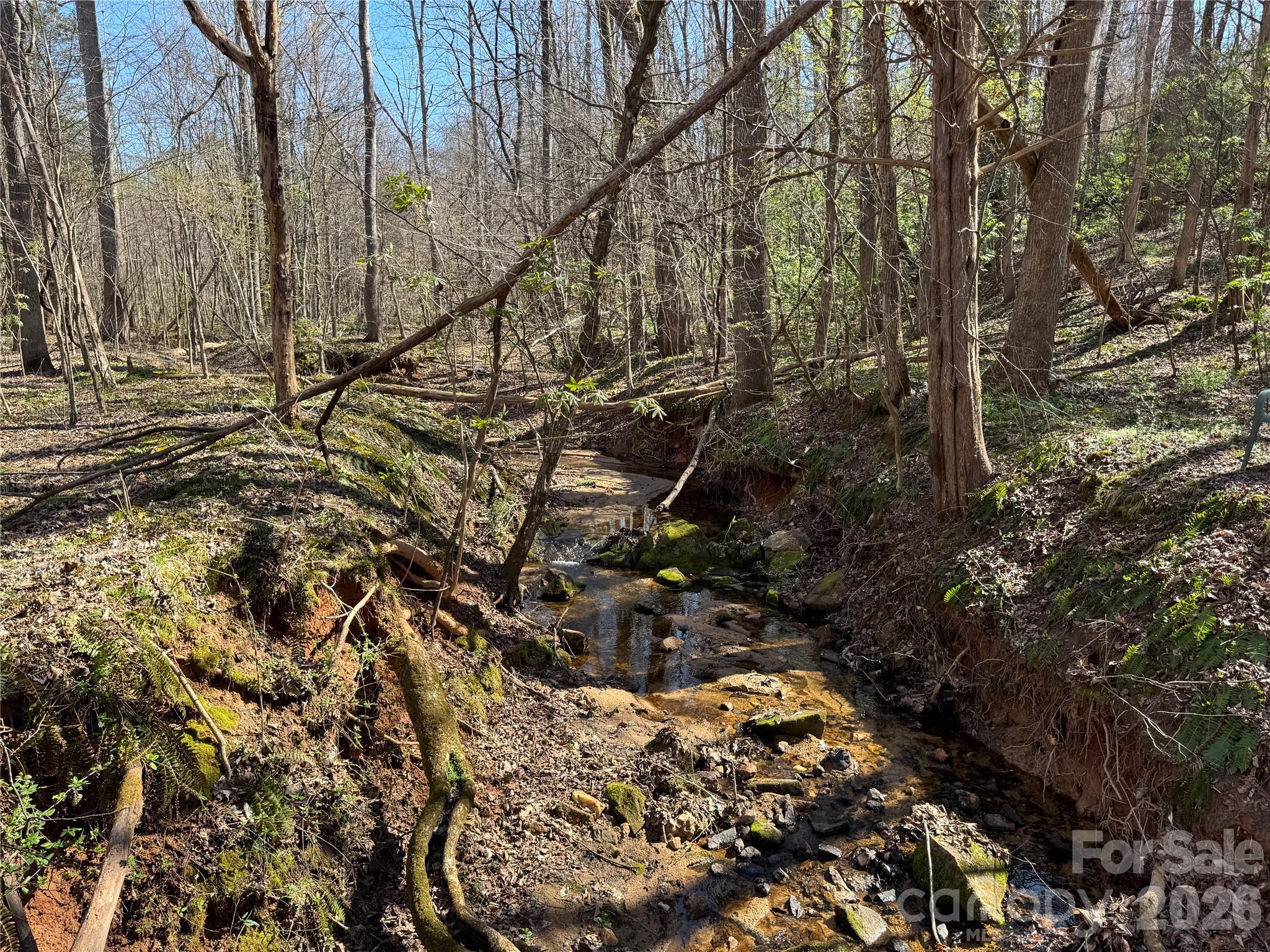 5700 Bentley Ridge Drive, Unit 12 Davidson, NC 28036 - Photo 14 of 25 a backyard of a house with a large tree