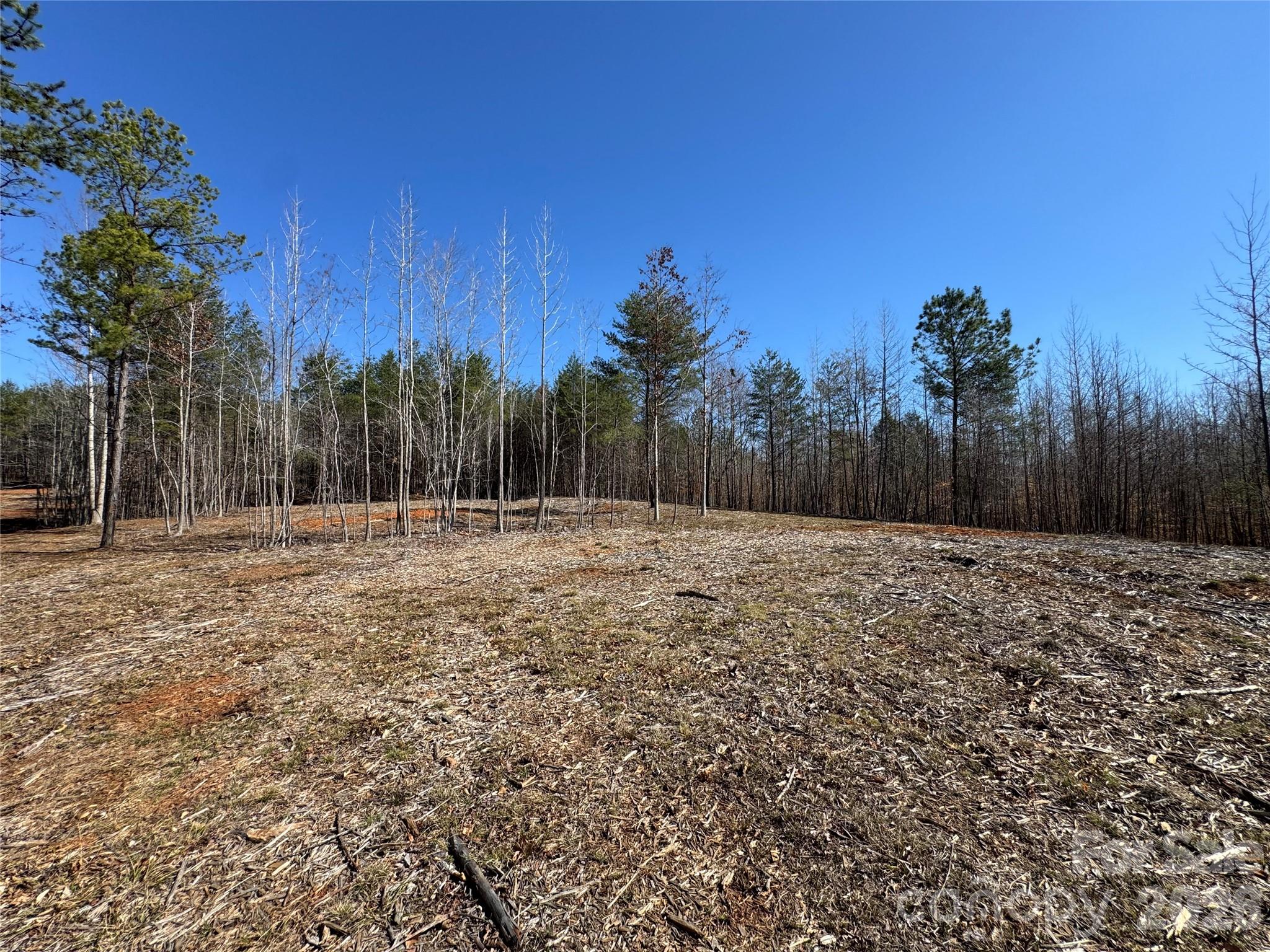 5700 Bentley Ridge Drive, Unit 12 Davidson, NC 28036 - Photo 15 of 25 a view of a backyard