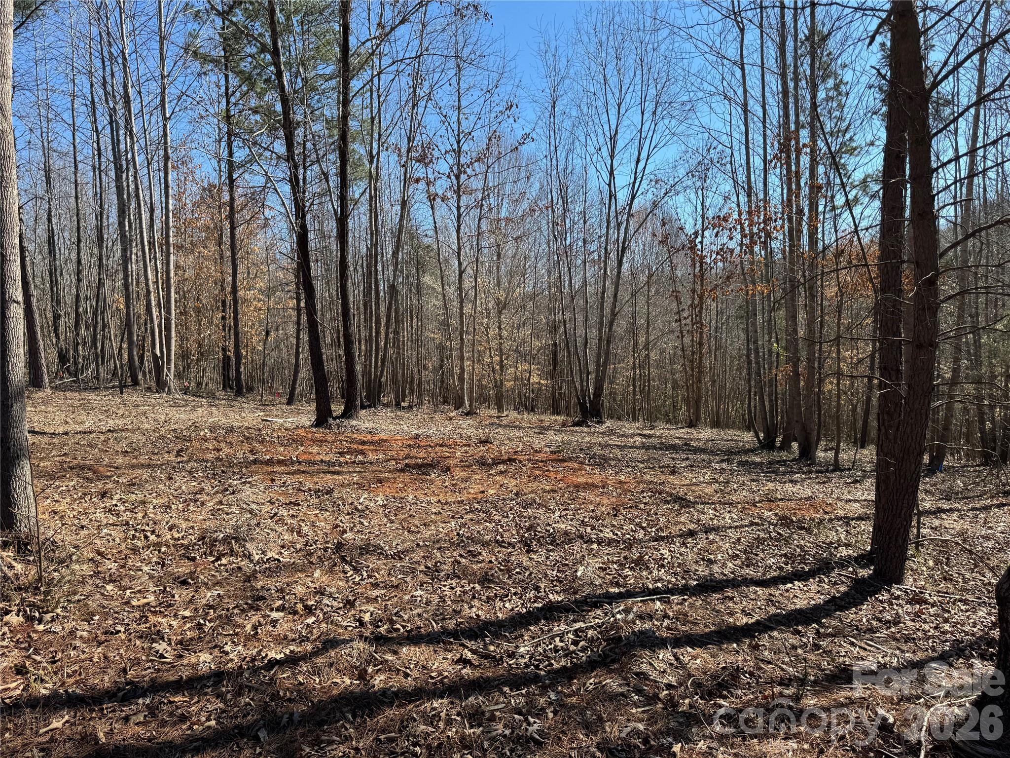 5700 Bentley Ridge Drive, Unit 12 Davidson, NC 28036 - Photo 16 of 25 a view of a backyard with large trees