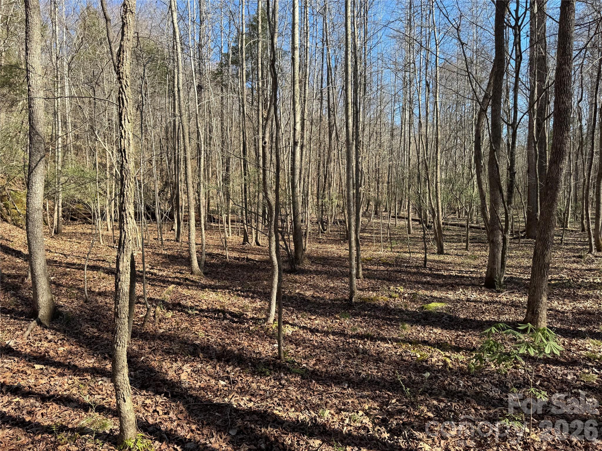 5700 Bentley Ridge Drive, Unit 12 Davidson, NC 28036 - Photo 17 of 25 a view of a backyard of the house