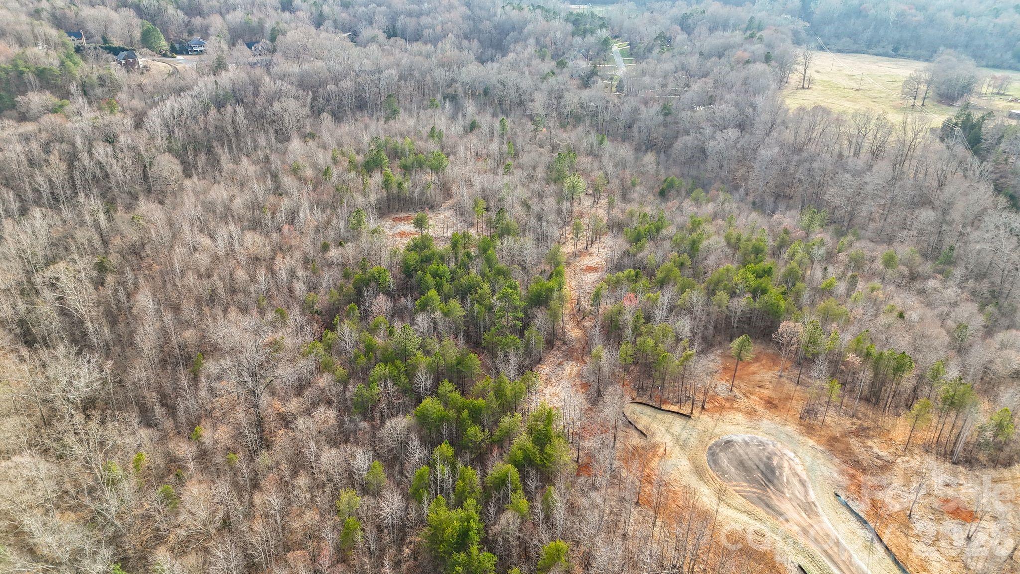 5700 Bentley Ridge Drive, Unit 12 Davidson, NC 28036 - Photo 23 of 25 a view of a forest with a tree