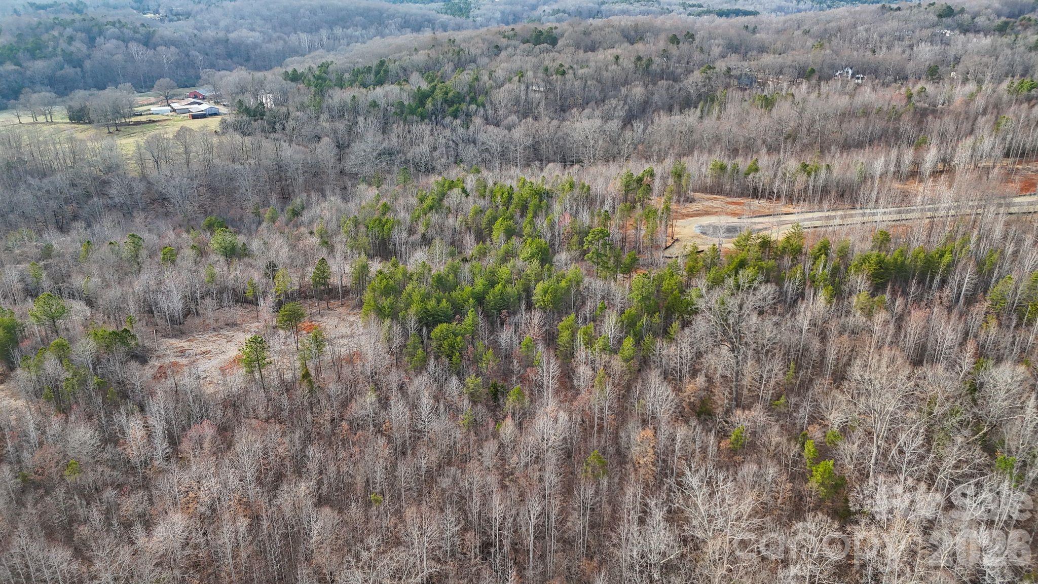 5700 Bentley Ridge Drive, Unit 12 Davidson, NC 28036 - Photo 24 of 25 a view of a yard