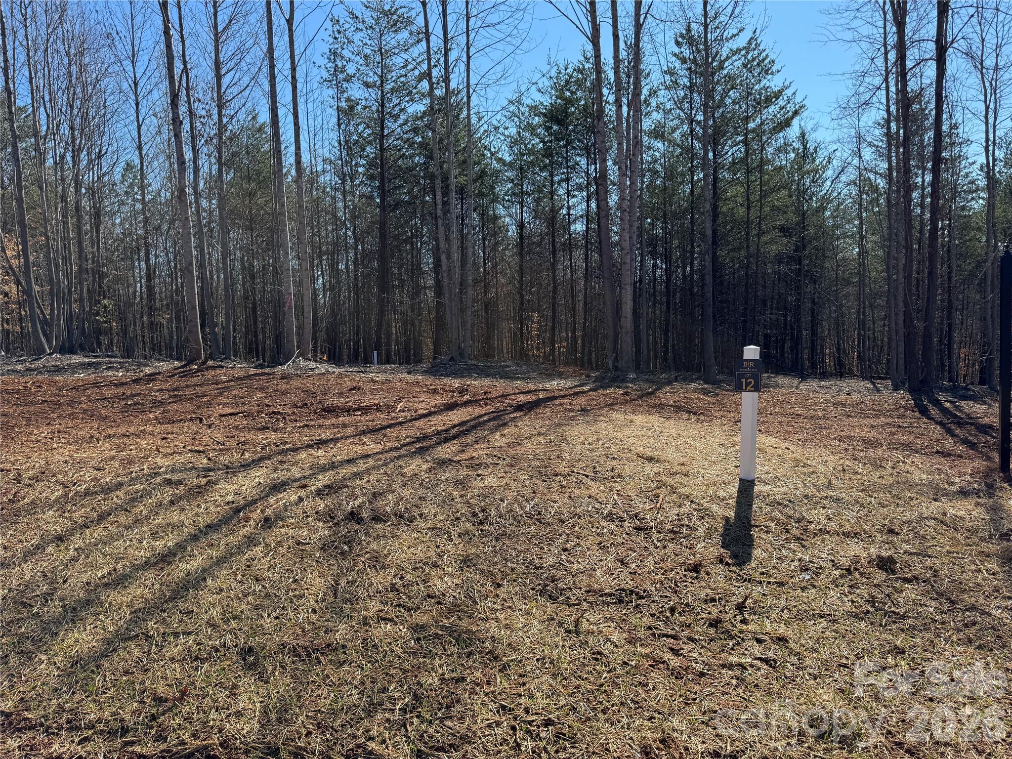 5700 Bentley Ridge Drive, Unit 12 Davidson, NC 28036 - Photo 3 of 25 a backyard of a house with lots of green space
