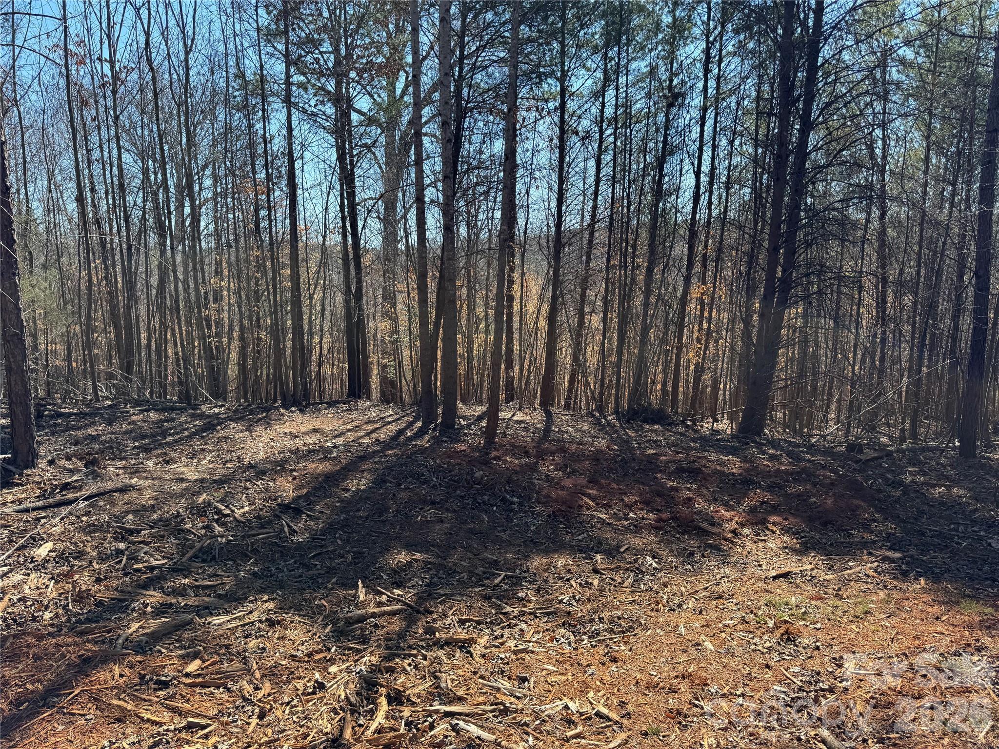 5700 Bentley Ridge Drive, Unit 12 Davidson, NC 28036 - Photo 4 of 25 a backyard of a house with lots of green space