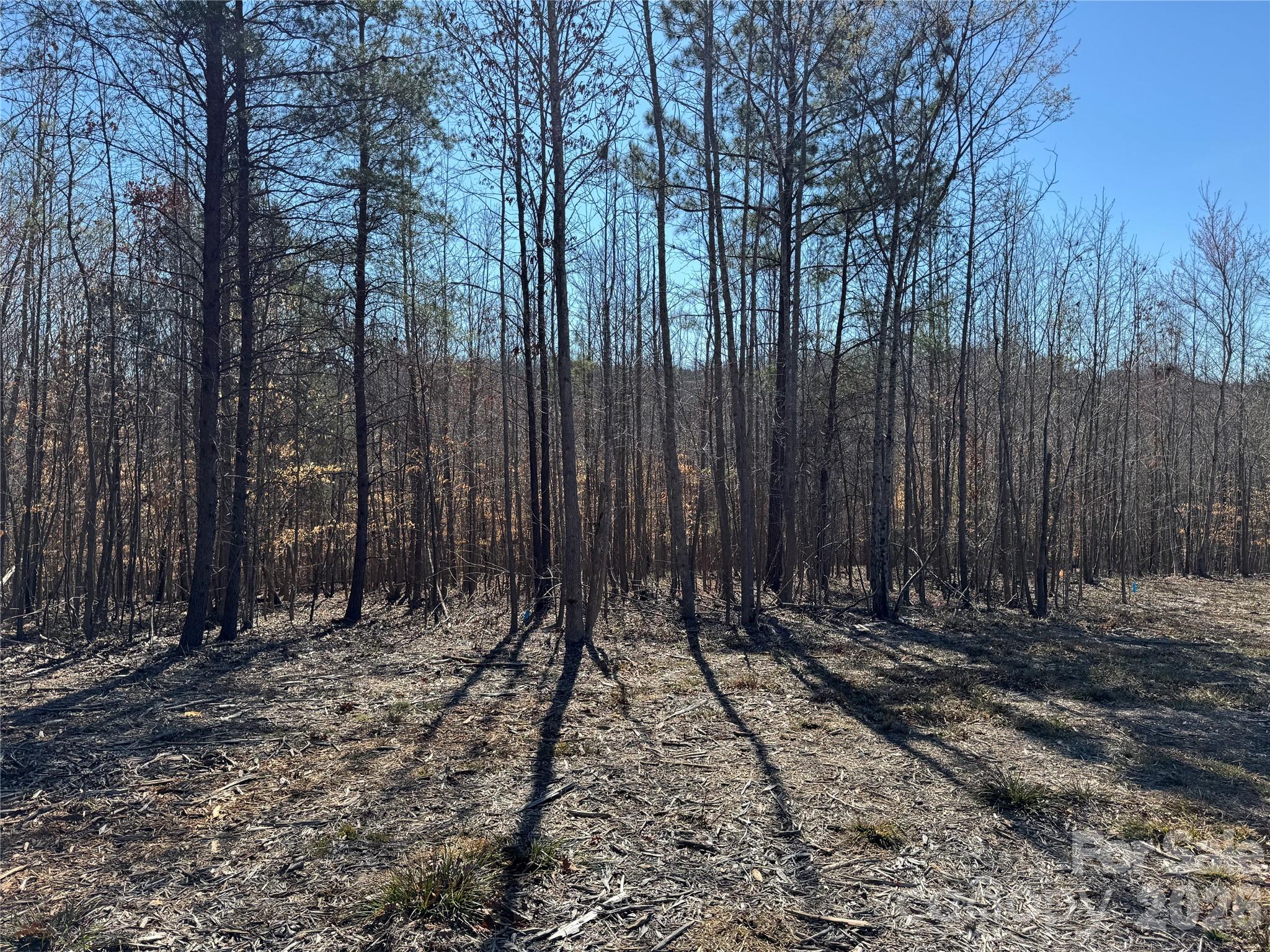5700 Bentley Ridge Drive, Unit 12 Davidson, NC 28036 - Photo 6 of 25 a view of wooden fence