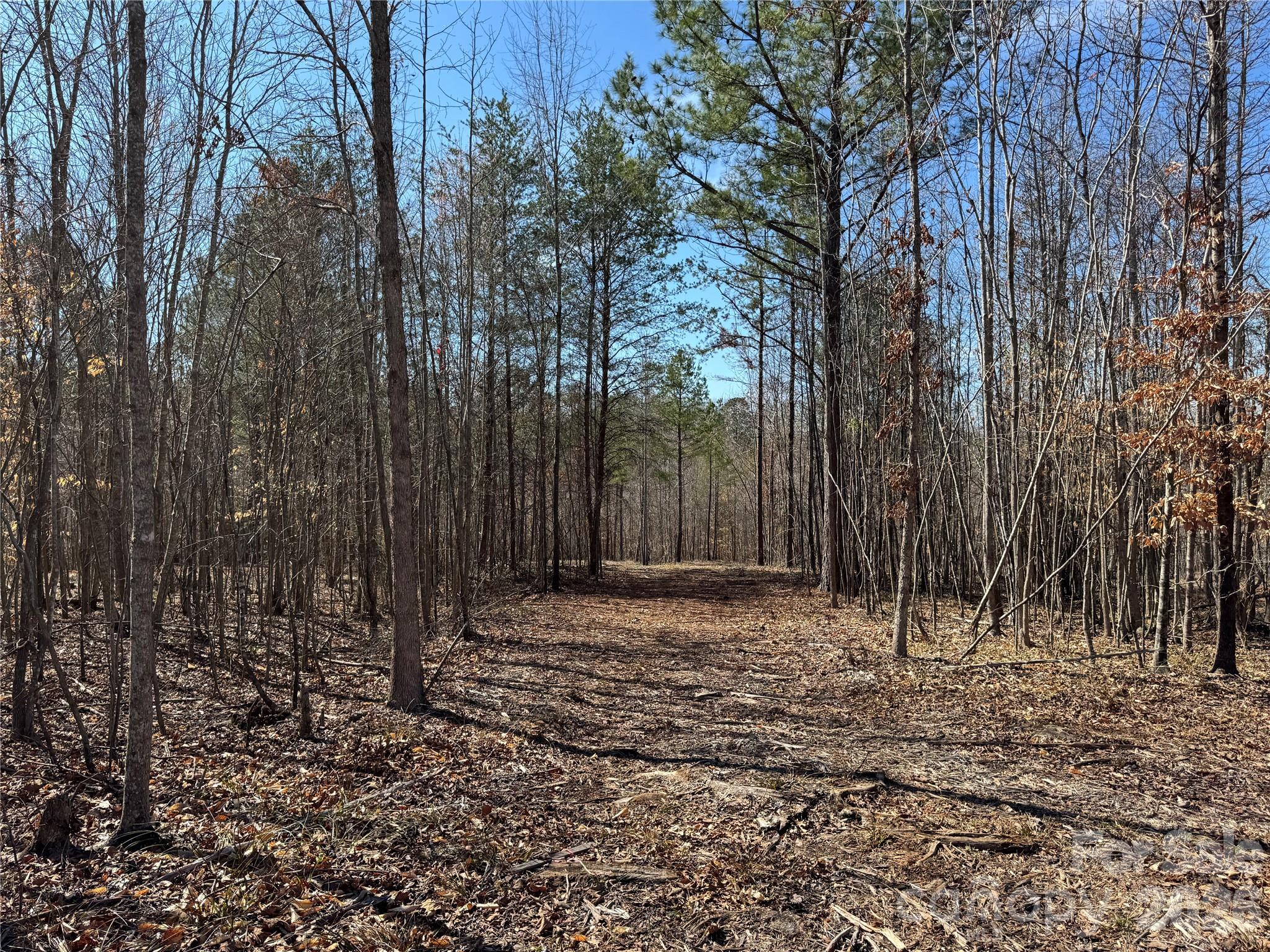 5700 Bentley Ridge Drive, Unit 12 Davidson, NC 28036 - Photo 7 of 25 a view of outdoor space with trees