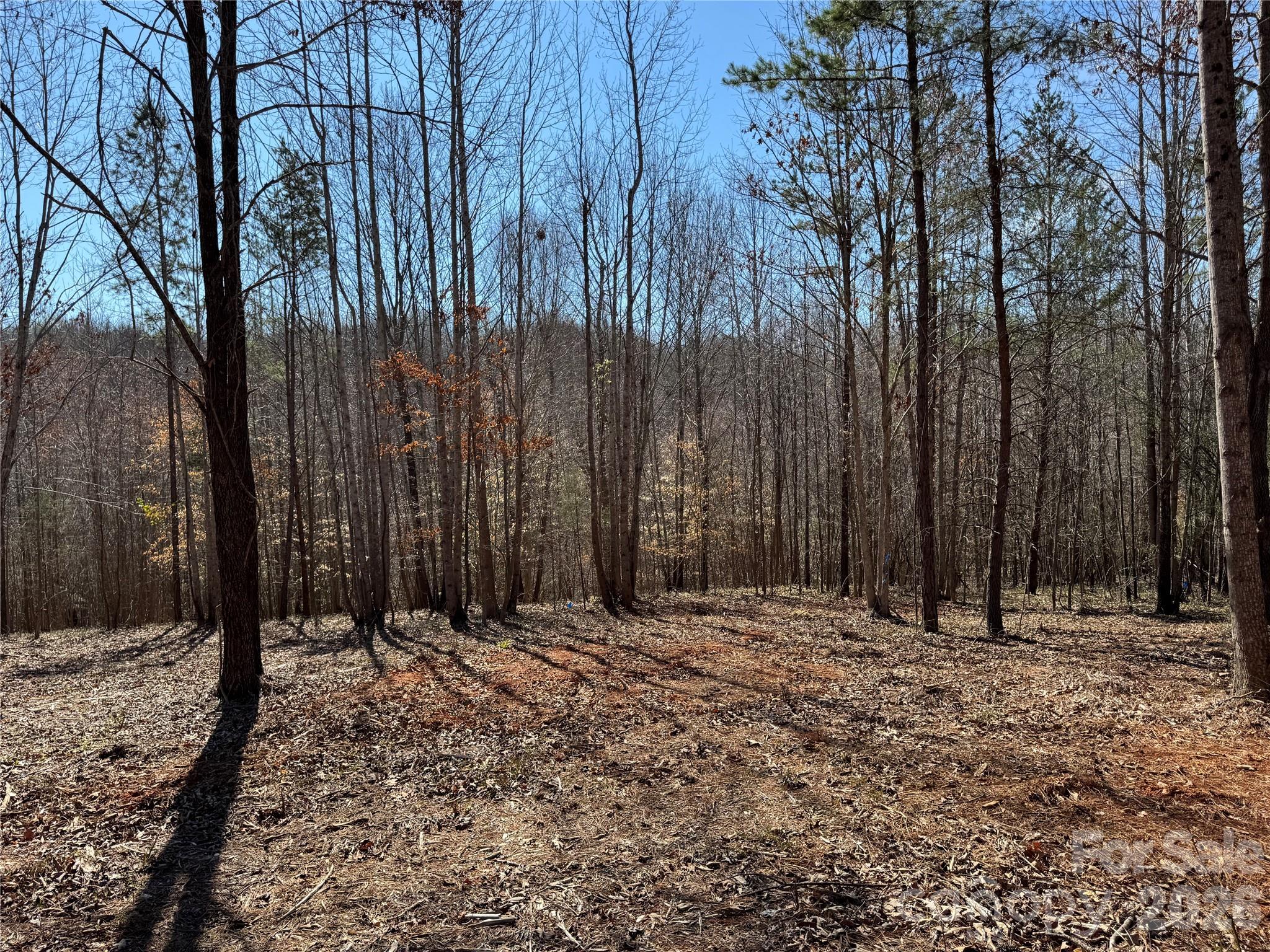 5700 Bentley Ridge Drive, Unit 12 Davidson, NC 28036 - Photo 8 of 25 a view of wooden fence