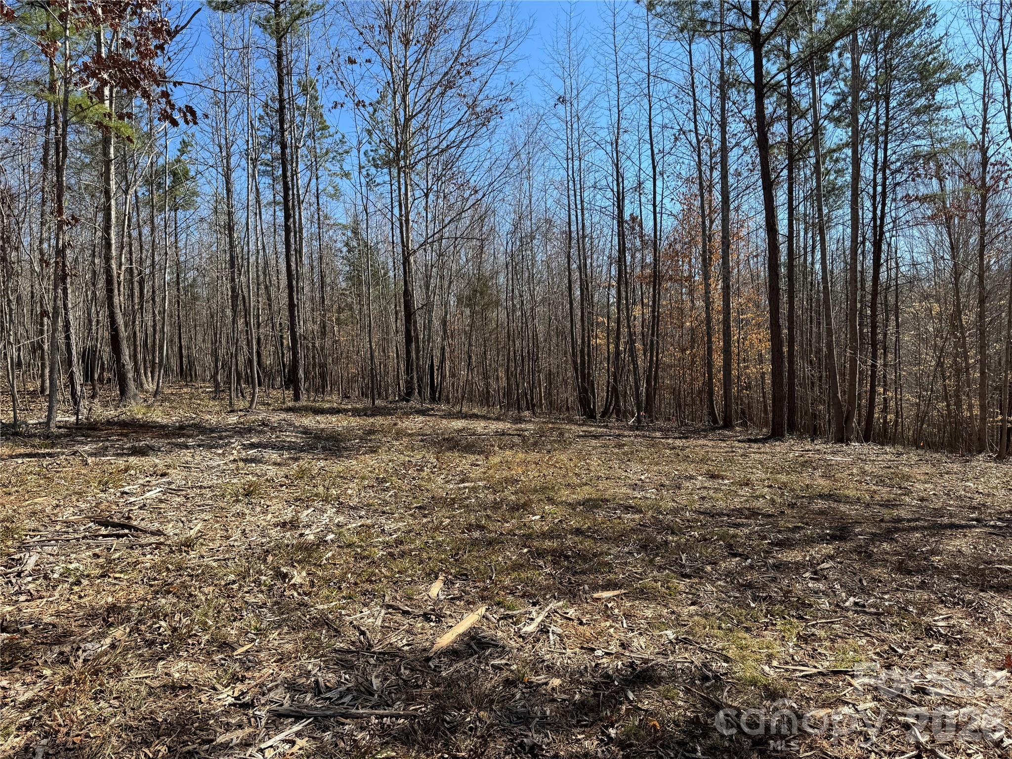 5700 Bentley Ridge Drive, Unit 12 Davidson, NC 28036 - Photo 9 of 25 a view of outdoor space with wooden fence