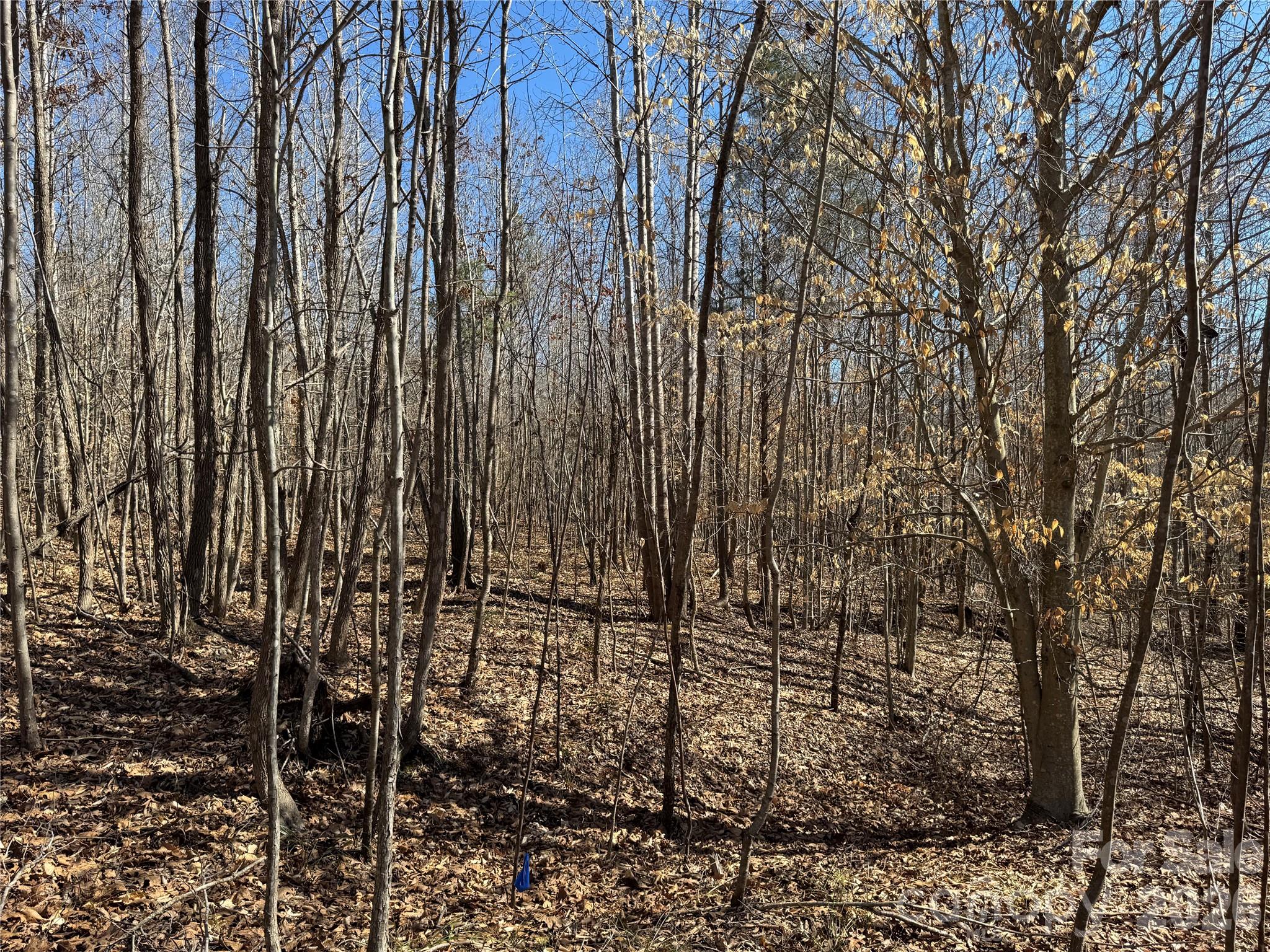 5700 Bentley Ridge Drive, Unit 12 Davidson, NC 28036 - Photo 10 of 25 a view of a garden