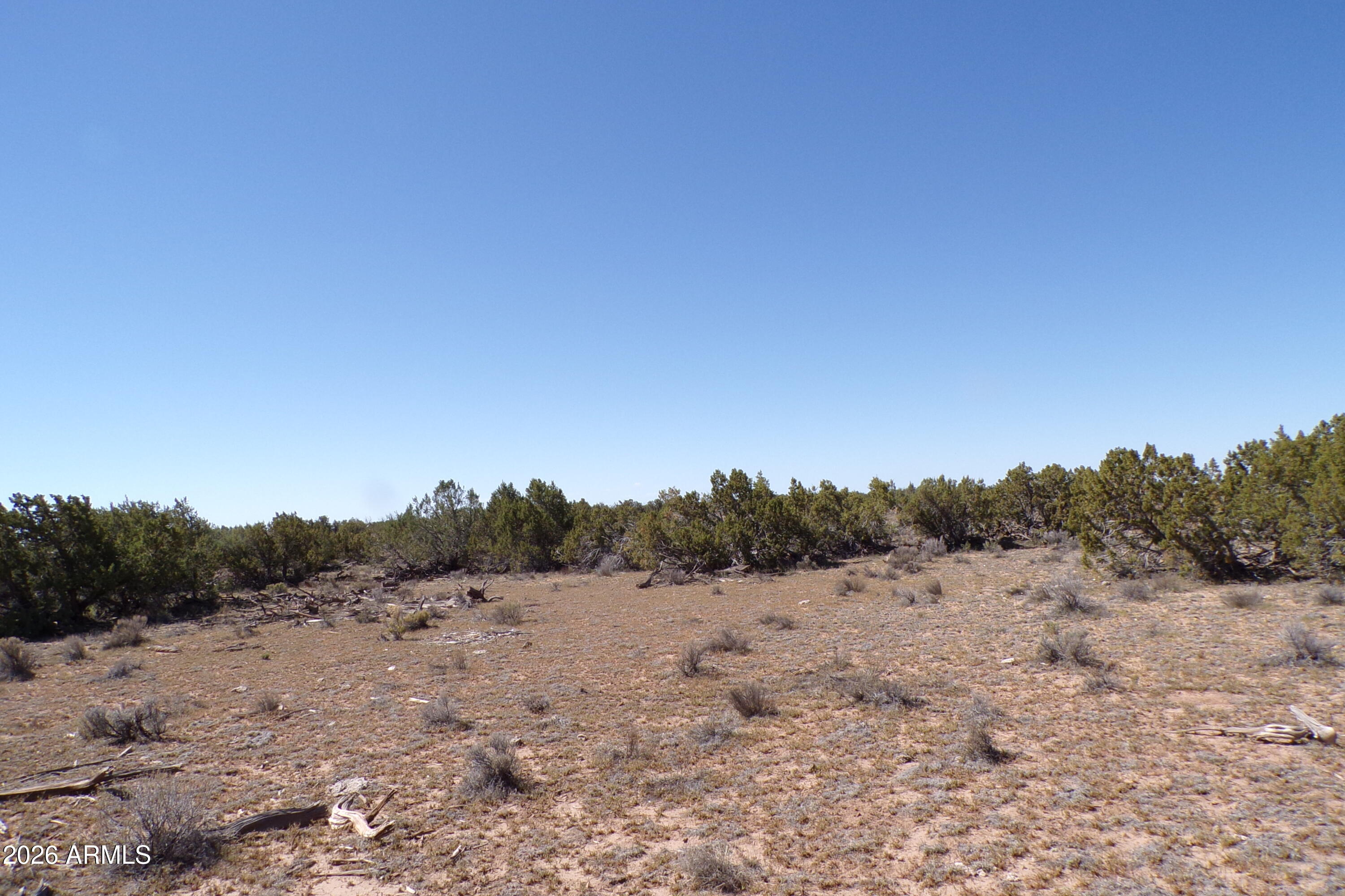 0 Ranch Road Sanders, AZ 86512 - Photo 18 of 42 a view of a dry field with trees in background