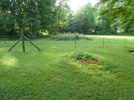 1709 6 Mile Post Road Callaway, VA 24067 - Photo 34 of 36 a view of a park