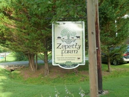 1709 6 Mile Post Road Callaway, VA 24067 - Photo 35 of 36 a sign that is sitting on a green field