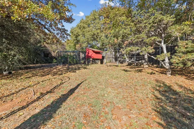 a view of a yard with trees