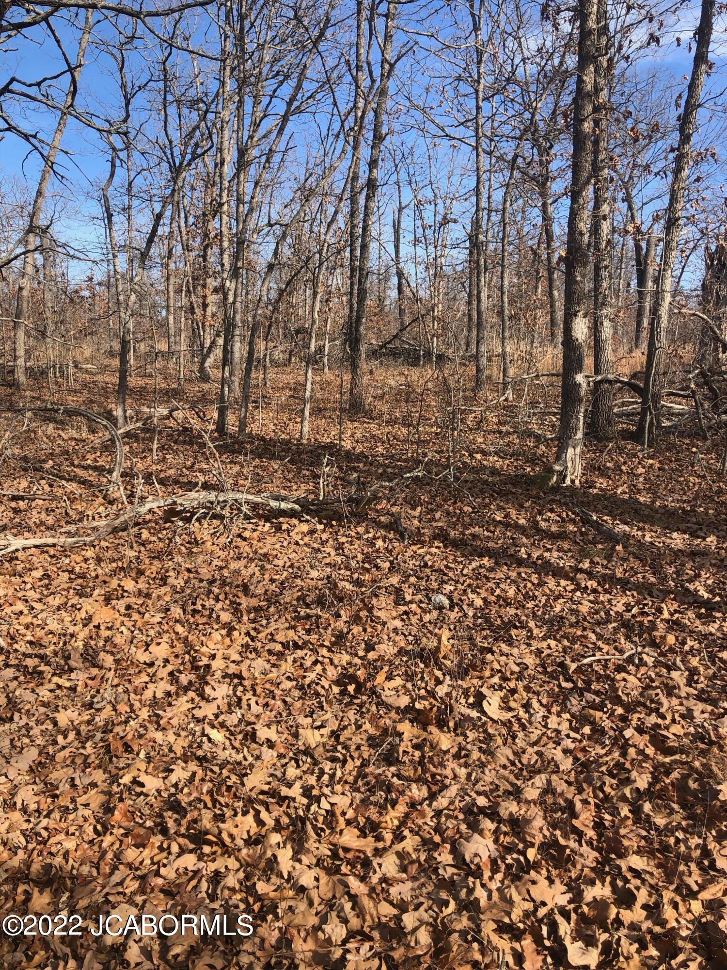 Tbd Broads Branch Road Macks Creek, MO 65786 - Photo 18 of 18