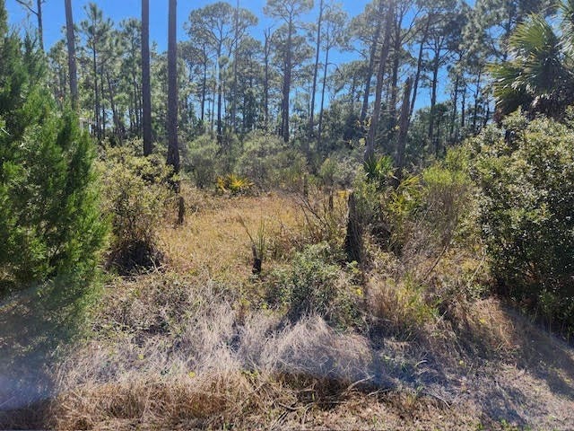 1663 Forsythia Trail St. George Island, FL 32328 - Photo 4 of 17 Gallery Image 4