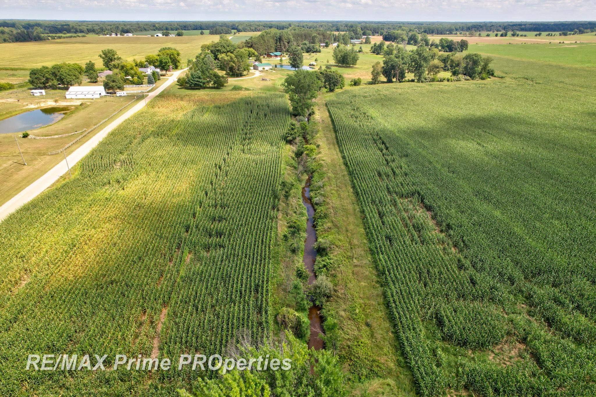0 Cooklin Road Cass City, MI 48726 - Photo 11 of 32 Gallery Image 11