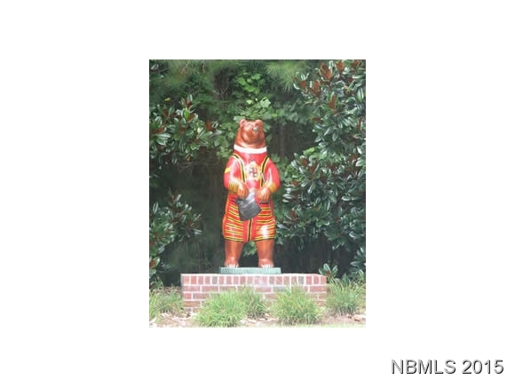 511 Neuchatel Road New Bern, NC 28562 - Photo 28 of 33 Additional Photo