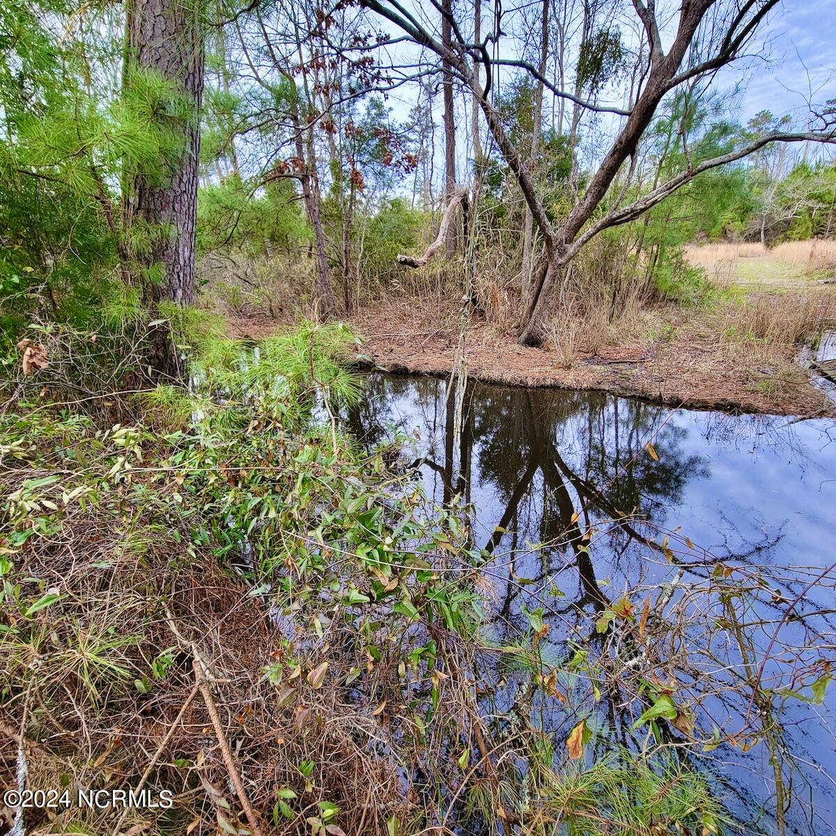 113 Matthews Road Bayboro, NC 28515 - Photo 14 of 25 14