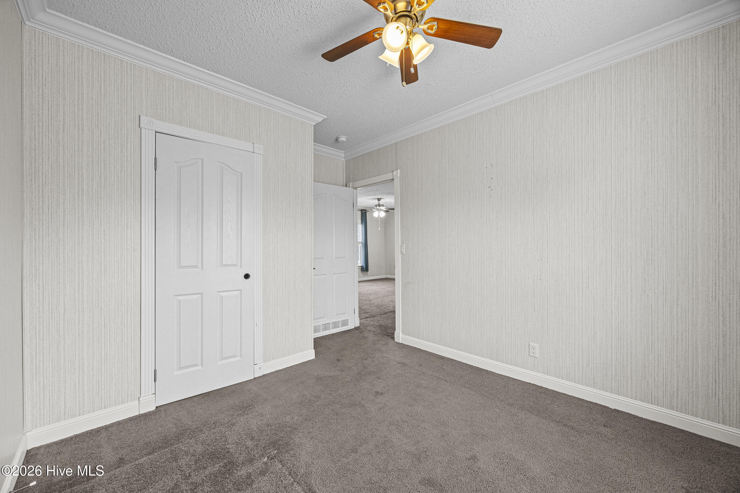 2041 Bay Road Willard, NC 28478 - Photo 19 of 29 28_bedroom