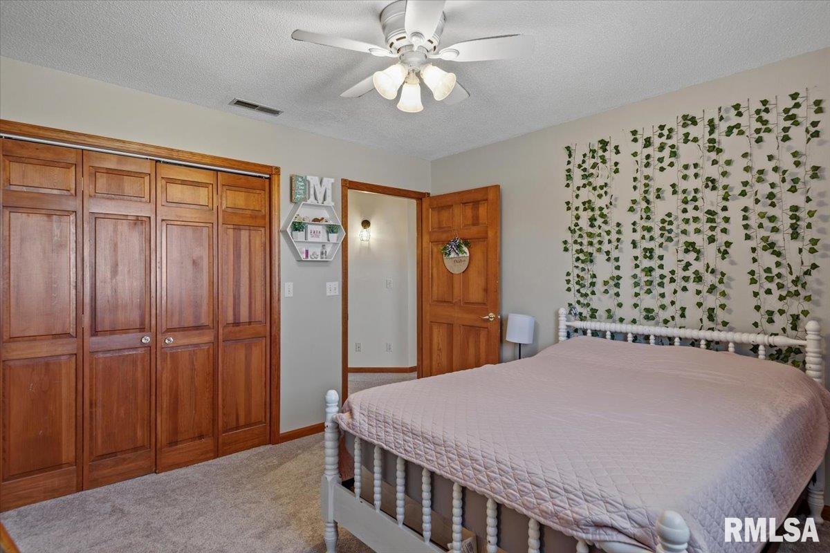 20205 North 20th Avenue Nokomis, IL 62075 - Photo 33 of 88