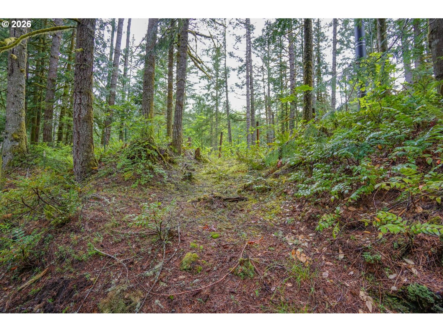 69881 East Alpine Court North Rhododendron, OR 97049 - Photo 45 of 48