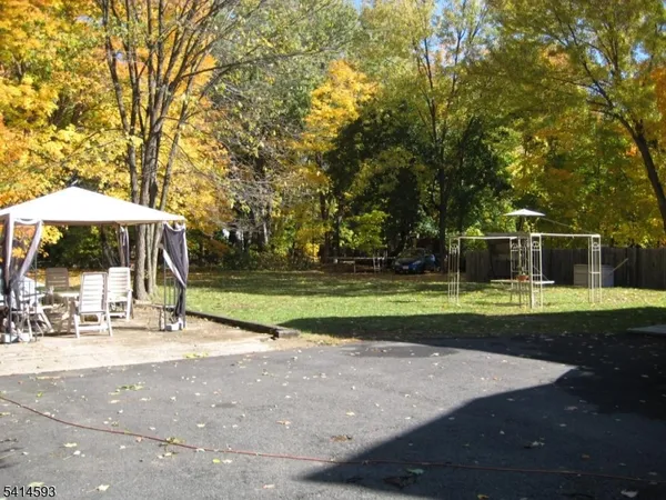 a view of a park with large trees
