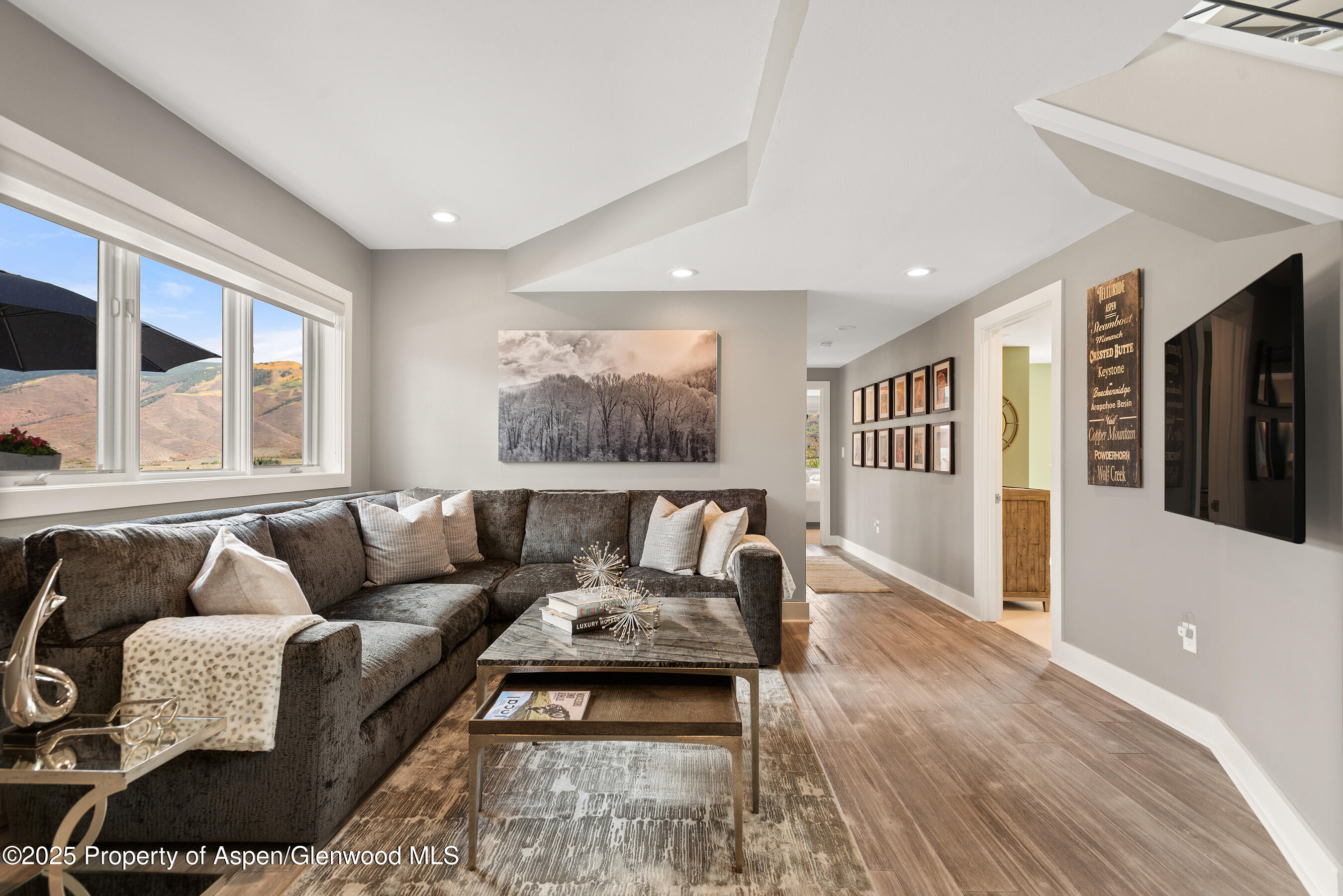 1167 Juniper Hill Road Aspen, CO 81611 - Photo 17 of 60 Lounge