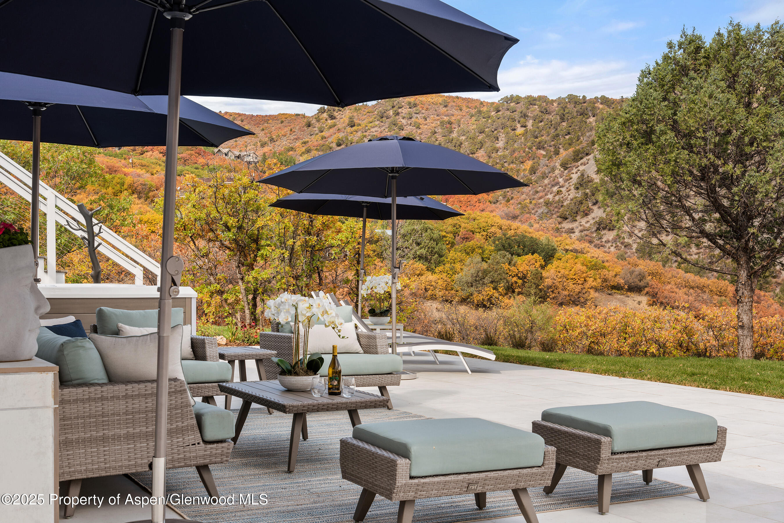 1167 Juniper Hill Road Aspen, CO 81611 - Photo 36 of 60 Outdoor Living