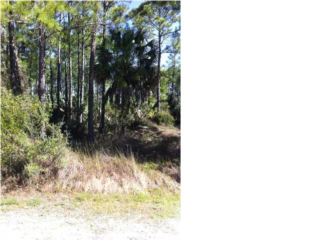 0 Painted Pony Road Port St. Joe, FL 32456 - Photo 1 of 1