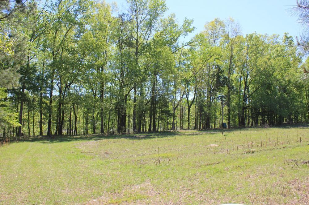 1291 Marion Church Road Salters, SC 29590 - Photo 17 of 61 17