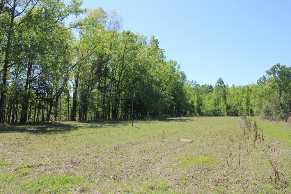 1291 Marion Church Road Salters, SC 29590 - Photo 18 of 61 18