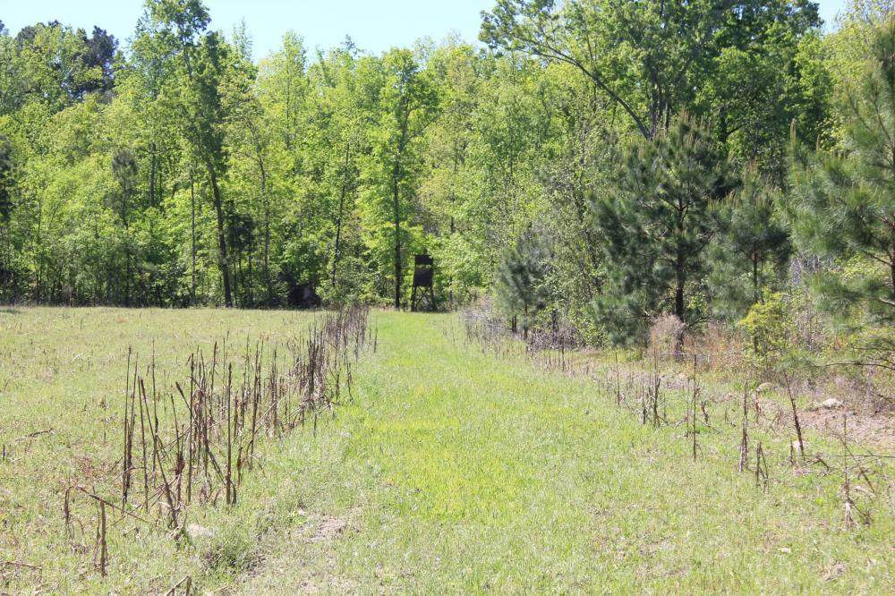 1291 Marion Church Road Salters, SC 29590 - Photo 19 of 61 19