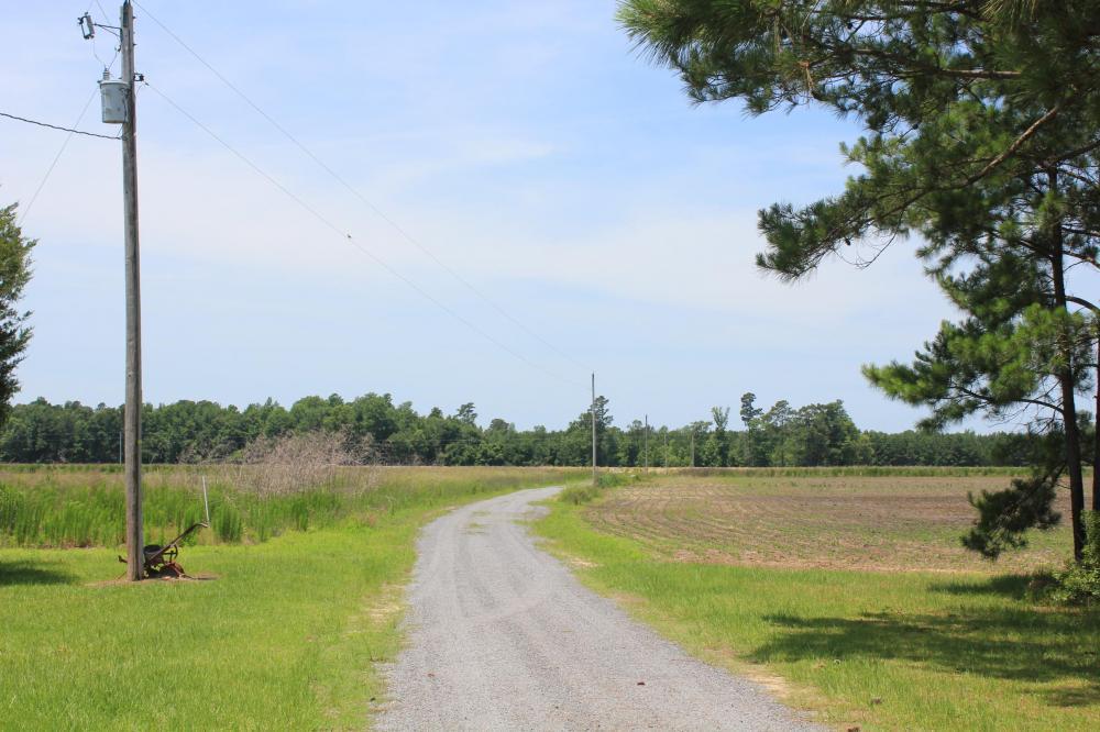 1291 Marion Church Road Salters, SC 29590 - Photo 3 of 61 3