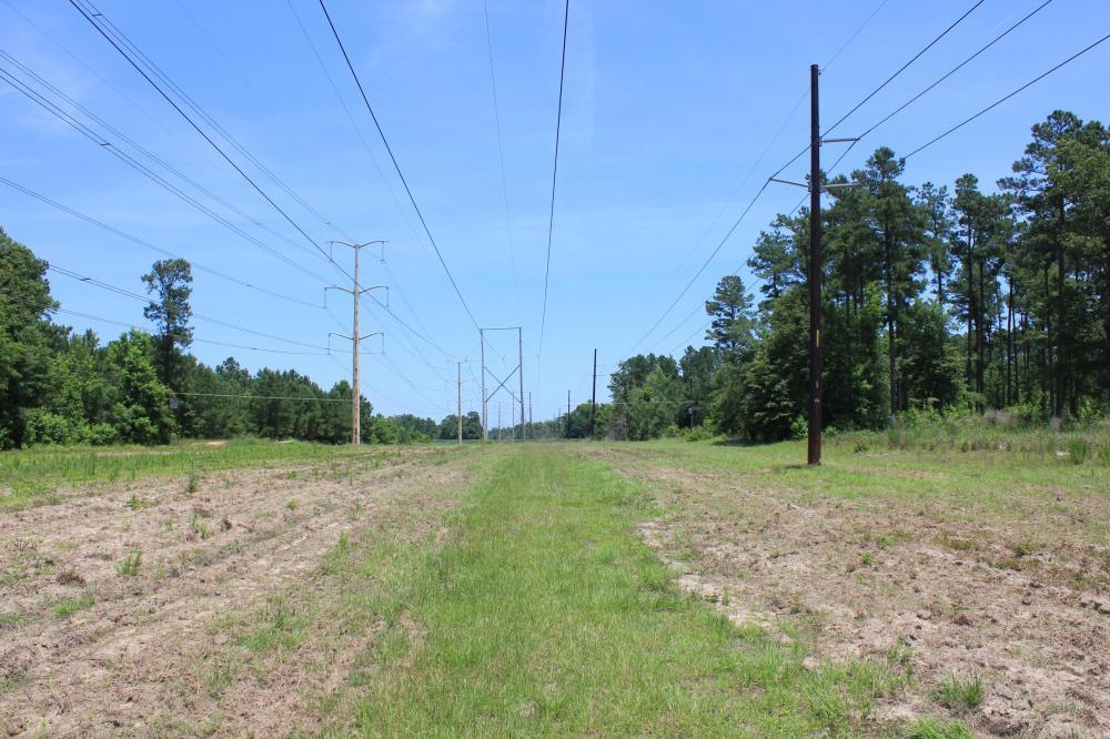 1291 Marion Church Road Salters, SC 29590 - Photo 35 of 61 35