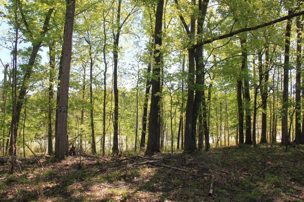 1291 Marion Church Road Salters, SC 29590 - Photo 37 of 61 37