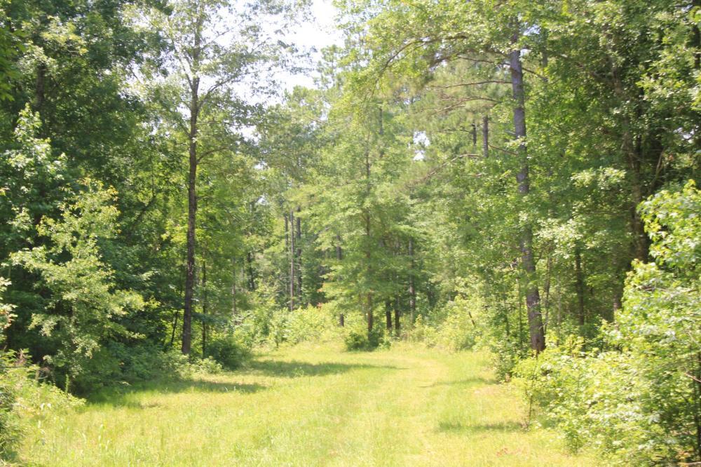 1291 Marion Church Road Salters, SC 29590 - Photo 39 of 61 39