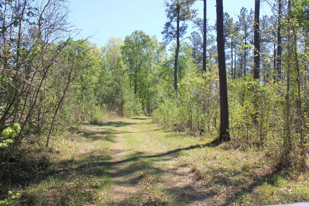1291 Marion Church Road Salters, SC 29590 - Photo 43 of 61 43