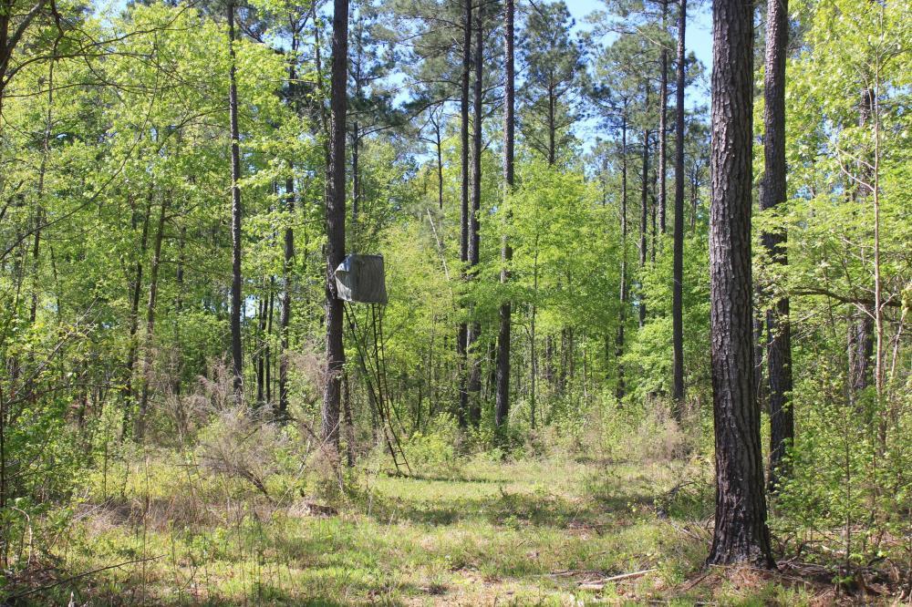 1291 Marion Church Road Salters, SC 29590 - Photo 44 of 61 44