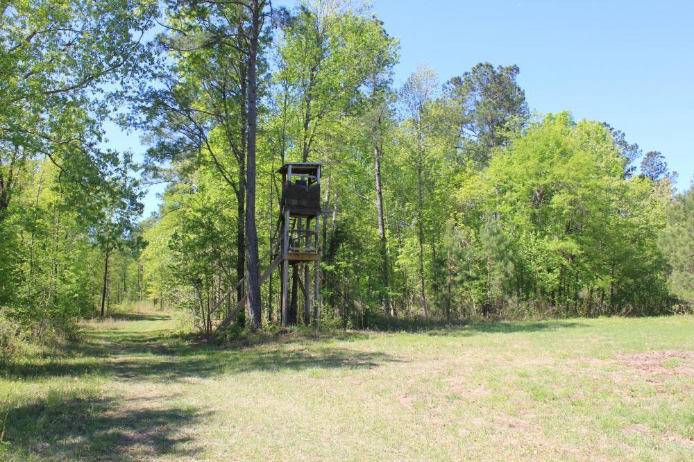 1291 Marion Church Road Salters, SC 29590 - Photo 46 of 61 46