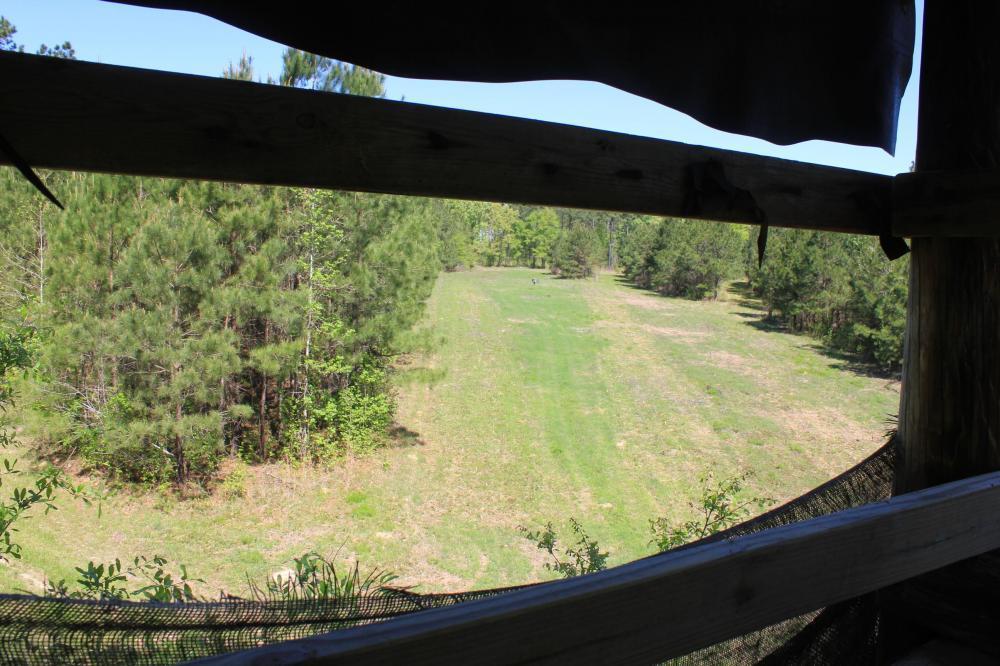 1291 Marion Church Road Salters, SC 29590 - Photo 47 of 61 47