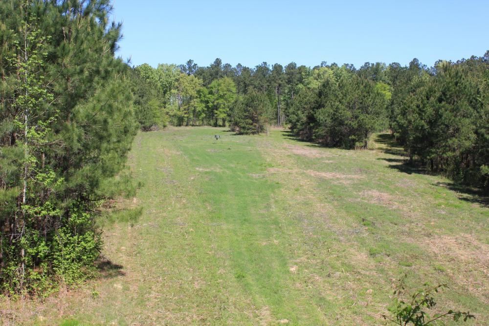 1291 Marion Church Road Salters, SC 29590 - Photo 48 of 61 48