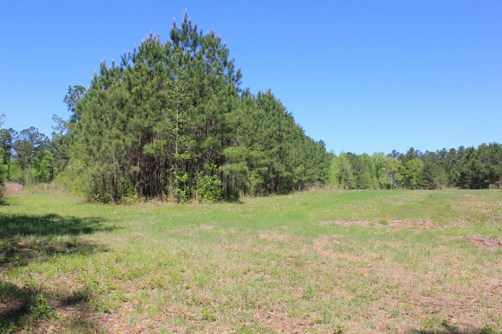 1291 Marion Church Road Salters, SC 29590 - Photo 49 of 61 49