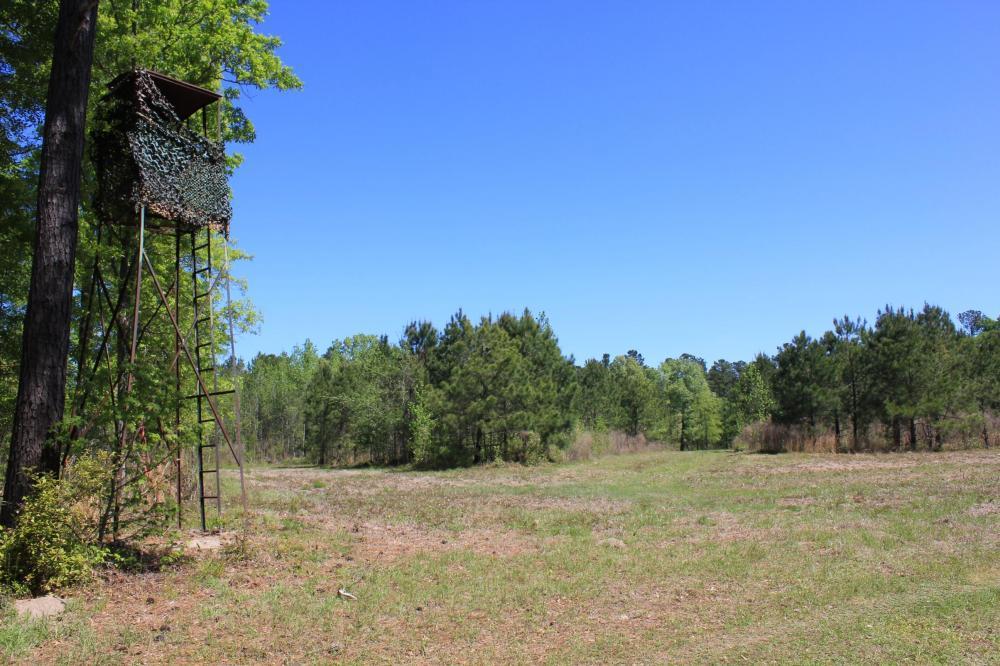 1291 Marion Church Road Salters, SC 29590 - Photo 50 of 61 50
