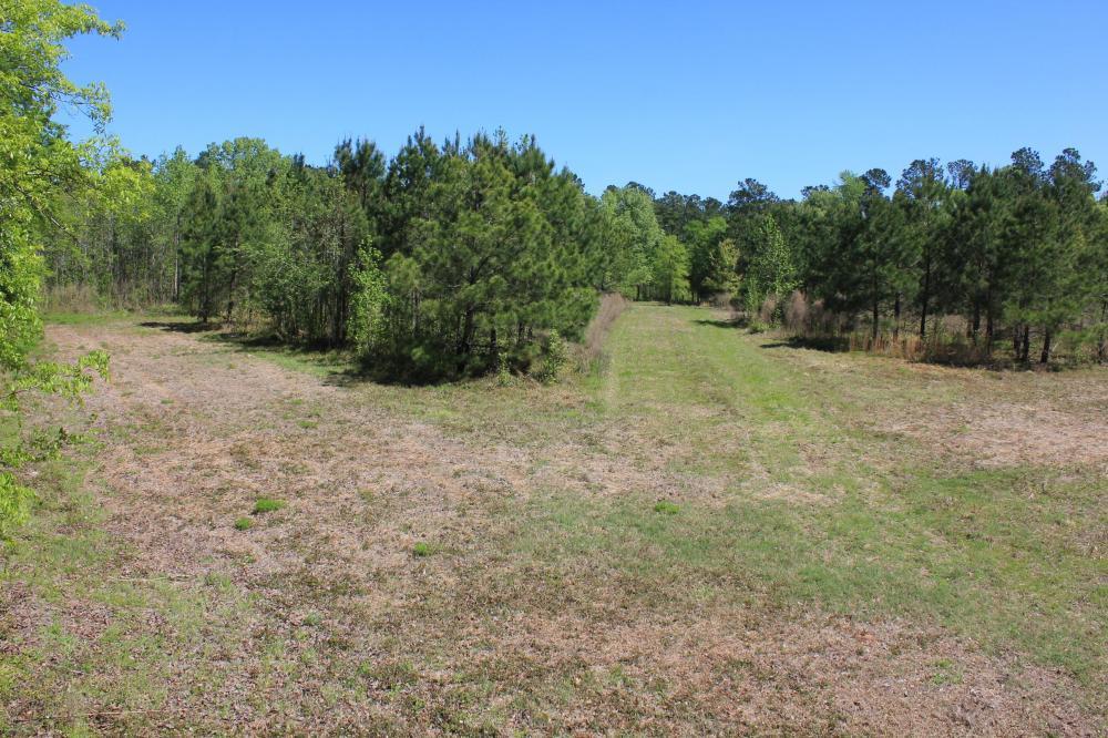 1291 Marion Church Road Salters, SC 29590 - Photo 52 of 61 52