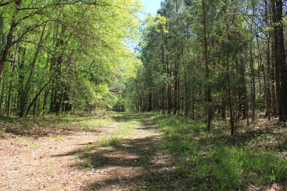 1291 Marion Church Road Salters, SC 29590 - Photo 53 of 61 53