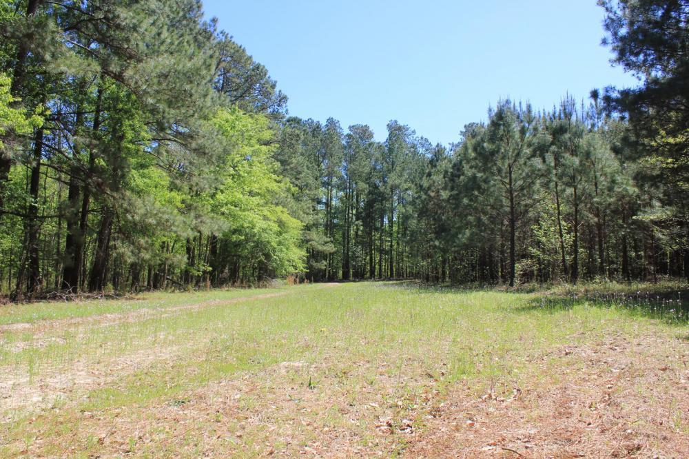1291 Marion Church Road Salters, SC 29590 - Photo 55 of 61 55